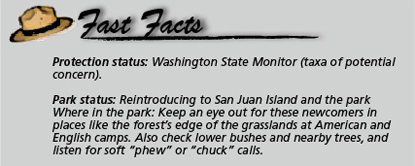 Fast Facts Western Bluebird