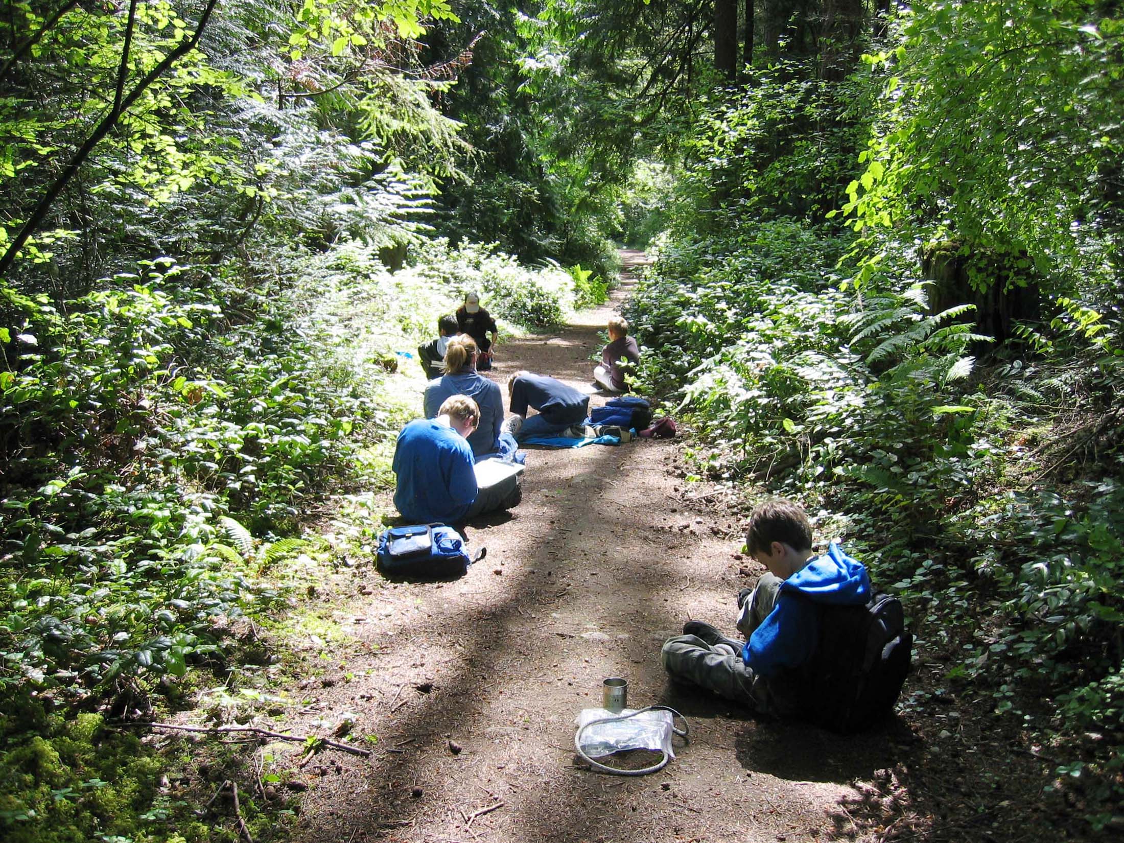 habitats_children_in_woods