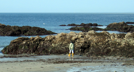 Grandma's Cove