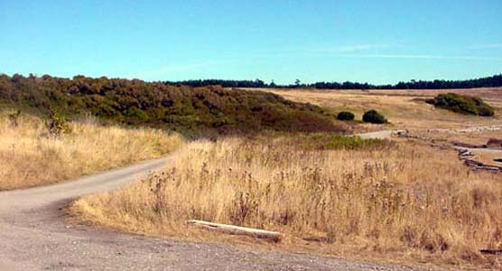 Salmon Banks Road at American Camp