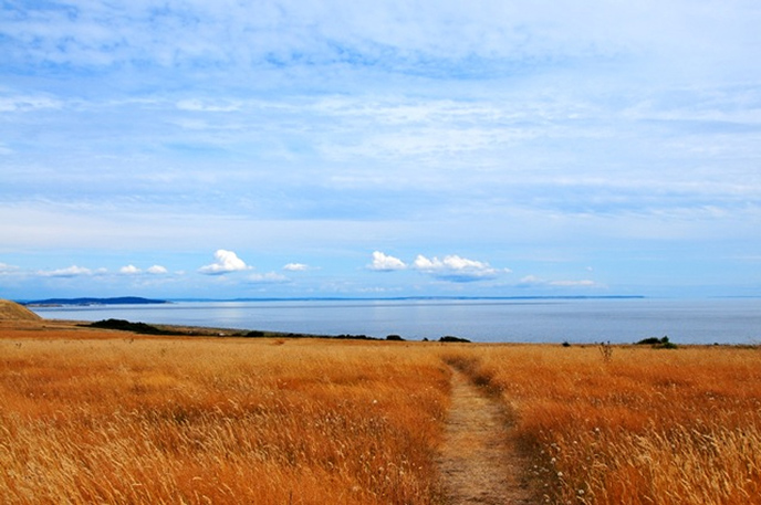 South-Beach-trail