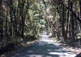English Camp entrance road.