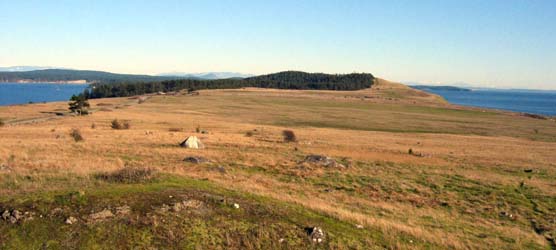 American Camp's prairie from the redoubt.
