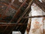 The 1675 framing in the Narbonne House