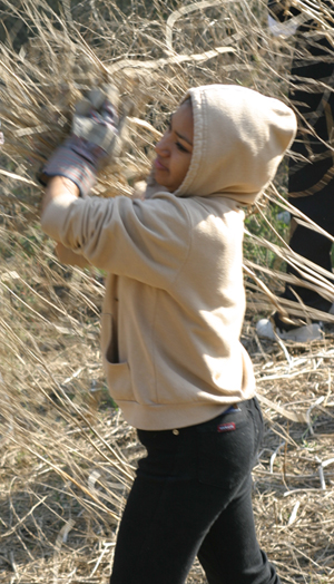 A student assists a restoration ecologist with redeveloping native plant habitats in the Santa Monica Mountains.