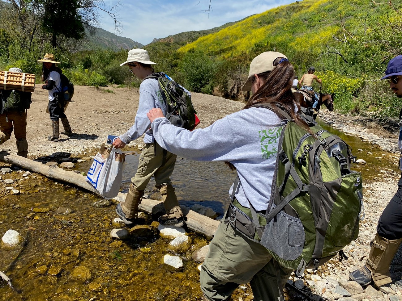Interns crossing the stream on their way to the seed collecting site.