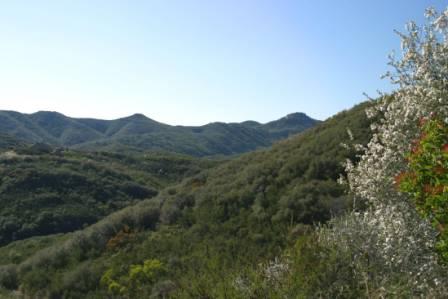 Vast mountain views make up some of the most remote sections of the Backbone Trail.