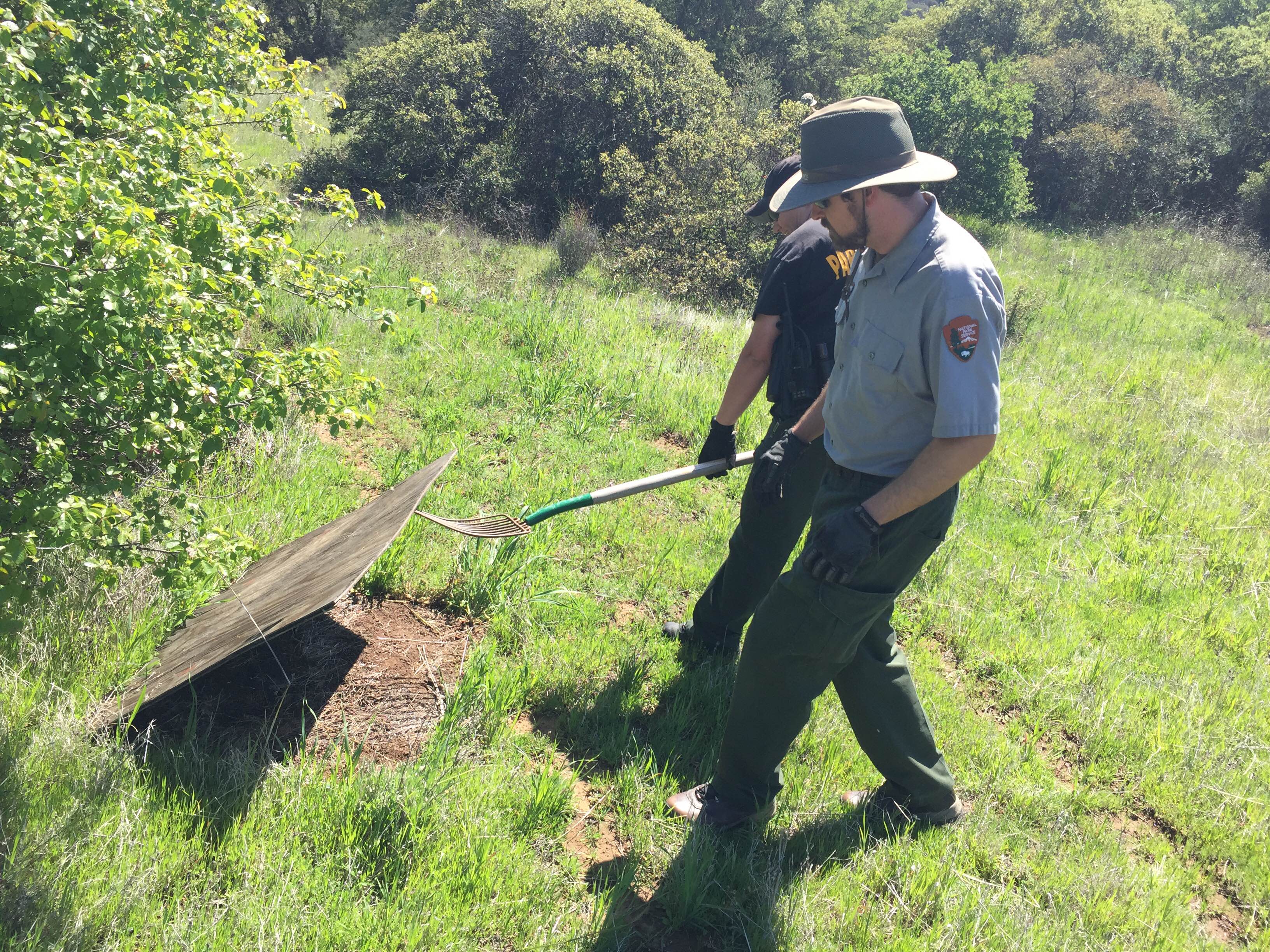 Rangers carefully lift a plywood board during a clean-up. (Photo: National Park Service)
