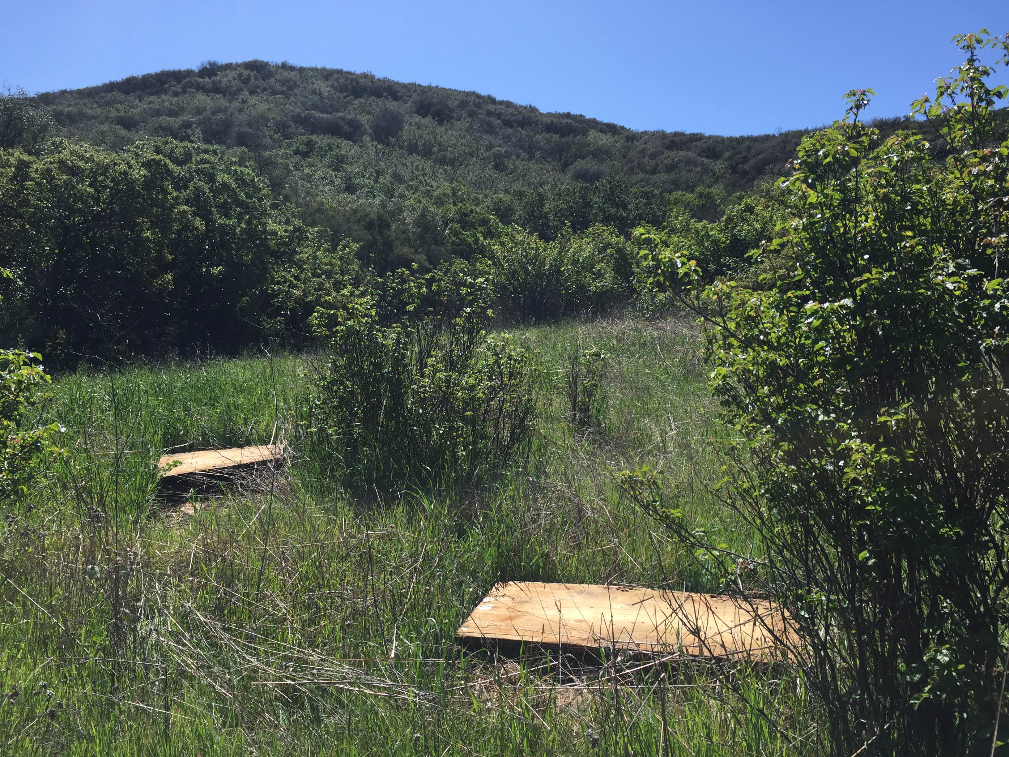 Plywood boards strewn in a field of grass in Decker Canyon of the Santa Monica Mountains. (Photo: National Park Service)