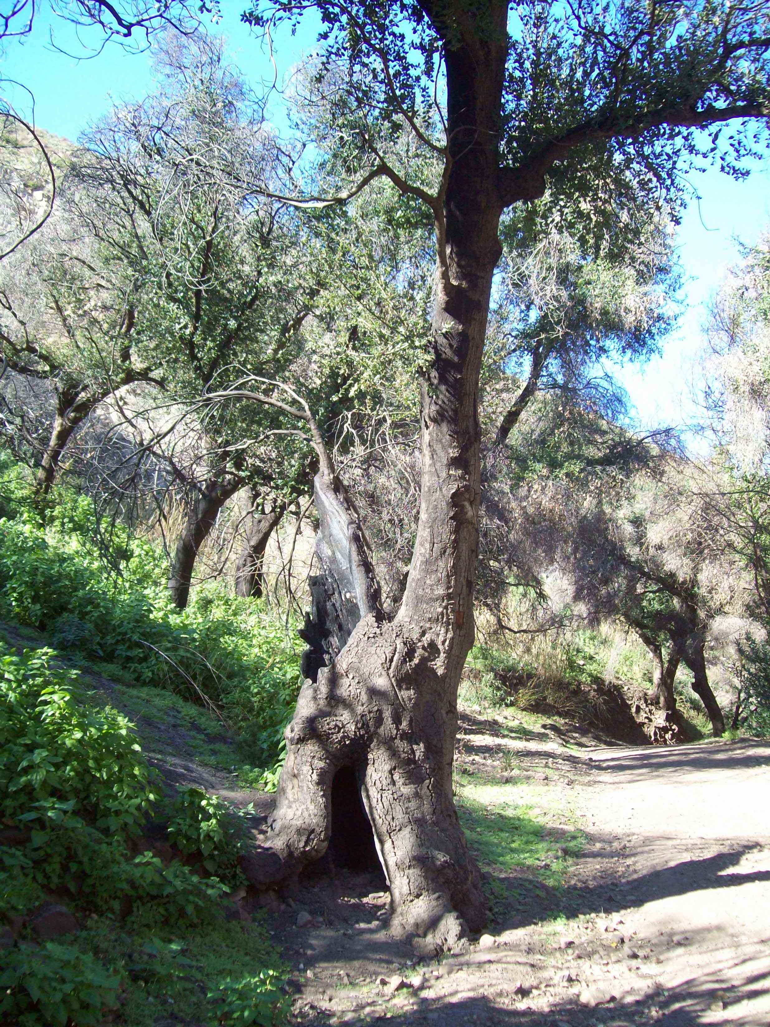 Solstice Canyon 013