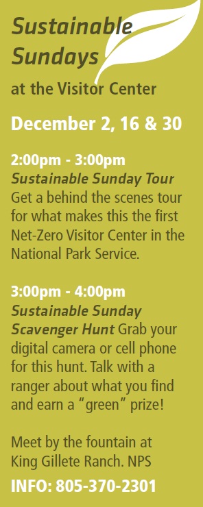 Sustainable Sundays