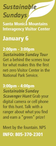 Sustainable Sundays