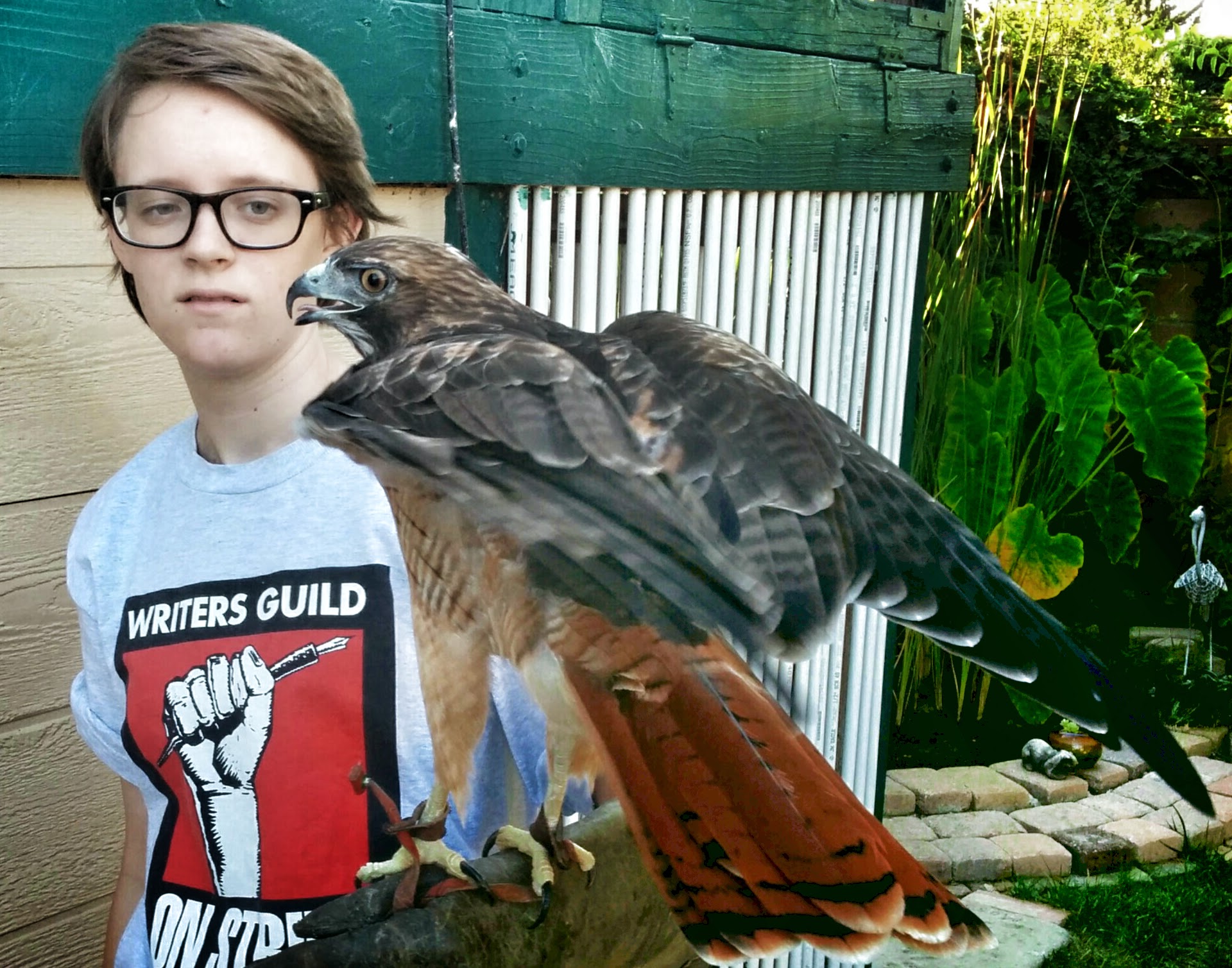 A participant from last year's Bird Fest holds a red-tailed hawk