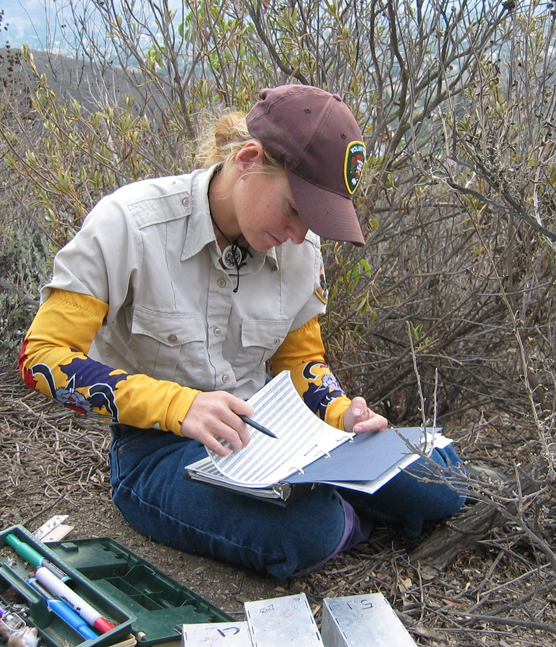 National Park Service interns and volunteers contribute thousands of hours of time to the benefit our parklands while gaining valuable experience. 