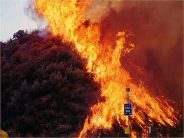 A large flames during the 1993 Old Topanga Fire