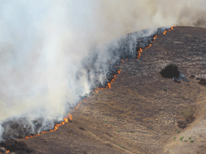 A wildland fire moves in a linear fashion across the hillside.