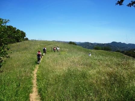 Hikers on the Dead Horse Trail in Topanga State Park.