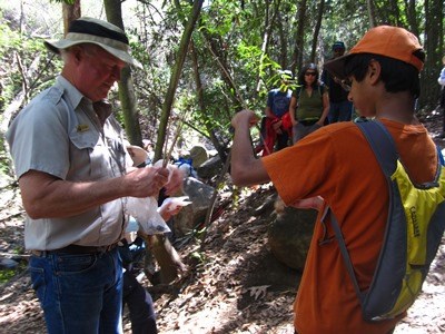 Interpreter demonstrating the uses of Yucca.