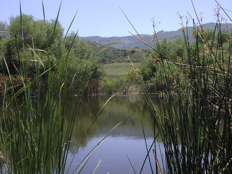 Rancho Sierra Vista