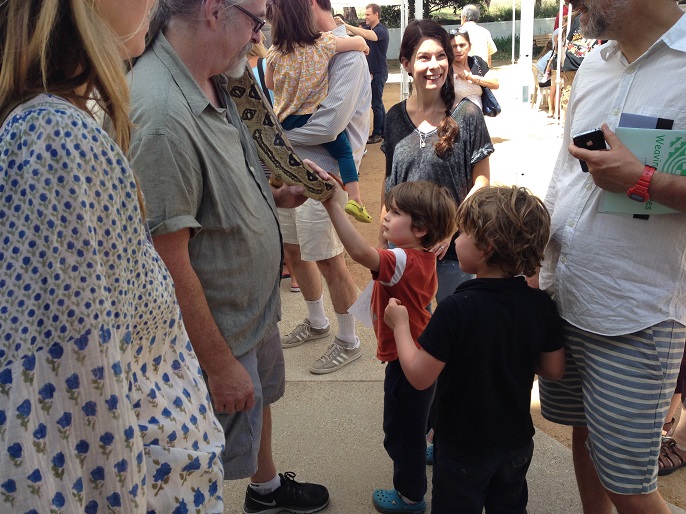 Child touches a snake.