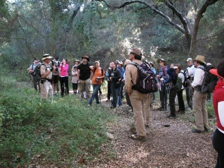 Hikers pause to learn about the dense oak woodland at the bottom of Trancas Canyon