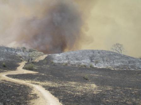 View of the Ranch Overlook Trail at Newbury Park's Rancho Sierra Vista, on the second day of the Springs Fire.