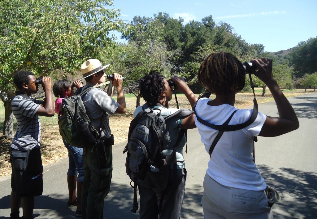 First-time visitors to the park look for bluebirds in the trees of King Gillette Ranch.