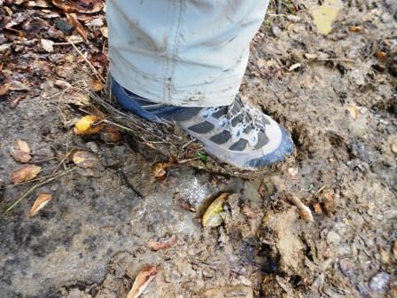 Muddy shoe on the Backbone Trail - Stephanie Shoemaker
