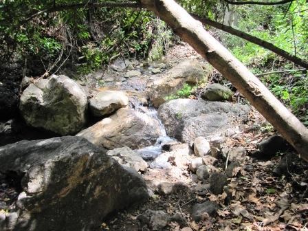 A small stream at the lunch spot along one of the water sheds in Cold Canyon.