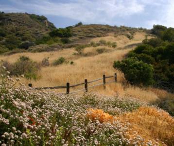 Wide landscapes lead to views of the many types of plant communities.