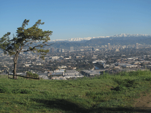 The view of downtown Los Angeles from the Baldwin Hill Scenic Overlook on a clear winter day.