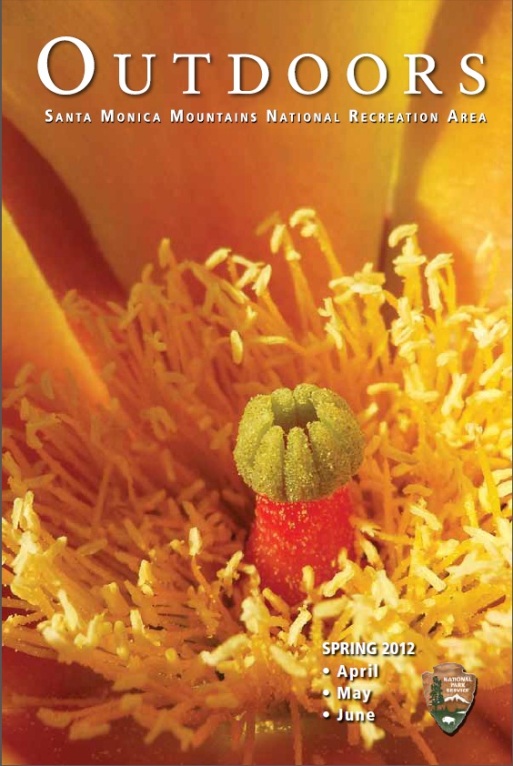 Spring 2012 Cover of the Outdoors Calendar of Events featuring a close up of a cactus flower.