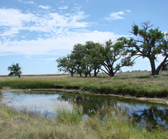 wetland at Sand Creek Massacre NHS