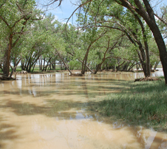 A flood in Sand Creek, 2007