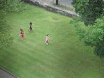 Children roll hoops across the grass
