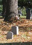 A boy plays in a pile of leaves