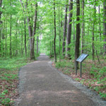 Gravel pathway entering shaded woodland, one interpretive sign is visible to the right.