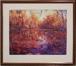 impressionistic view of vegetated wetland area