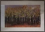 Image of a stand of birch trees in autumn