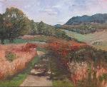 Rich green terrain and a walking path