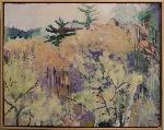 Winter wooded view with mixed trees