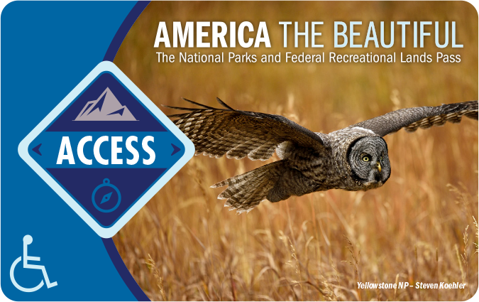 The Access Pass shows an owl in flight.