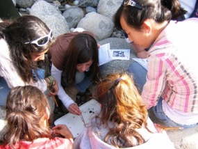 Sequoia For Youth students inventorying macroinvertebrates.