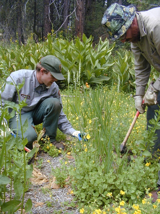 a biological technician takes a soil sample