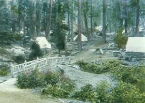 Tent cabins were common throughout the Giant Forest