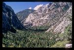 Lush green valley in Kings Canyon National Park