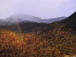 Rainbow over Ash Mountain