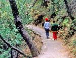 Trail to Crystal Cave