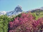 Spring storm on Moro Rock