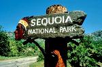 Historic CCC sign greets visitors on Hwy 198
